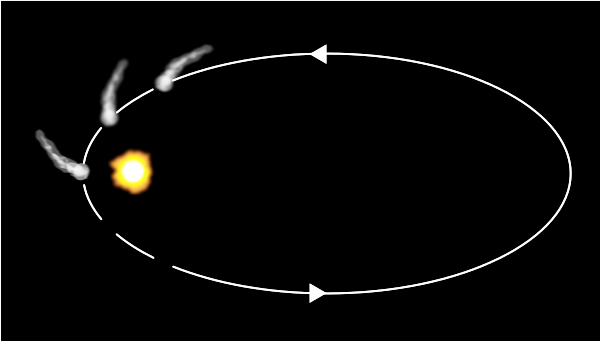 Comets are like cats: they have tails, and they do precisely what they want, David H. Levy