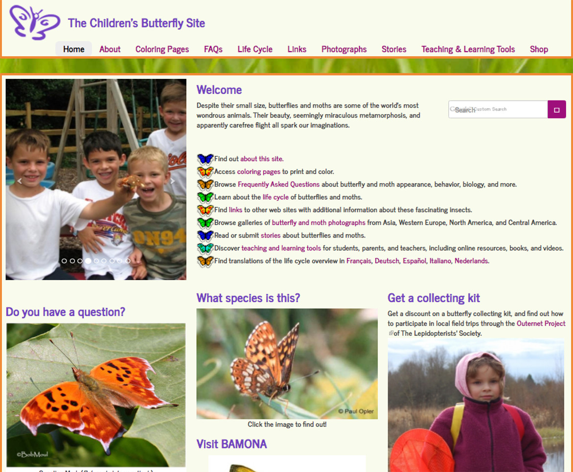 TheButterflySite.co