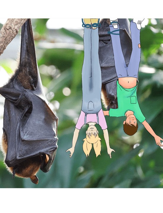 สัตว์แสนพิเศษ