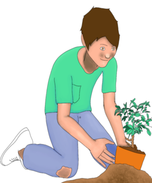 Cómo plantar flores y verduras