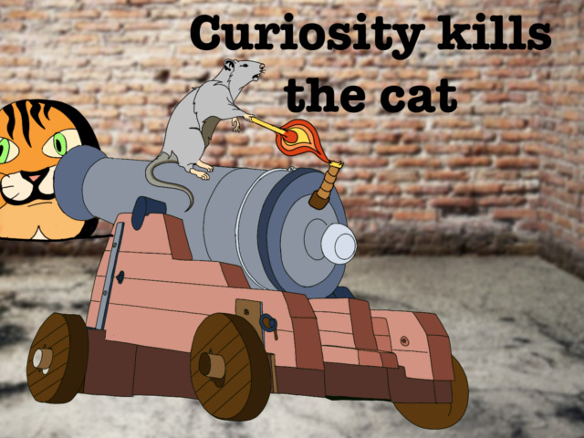 Curiosity kills the cat